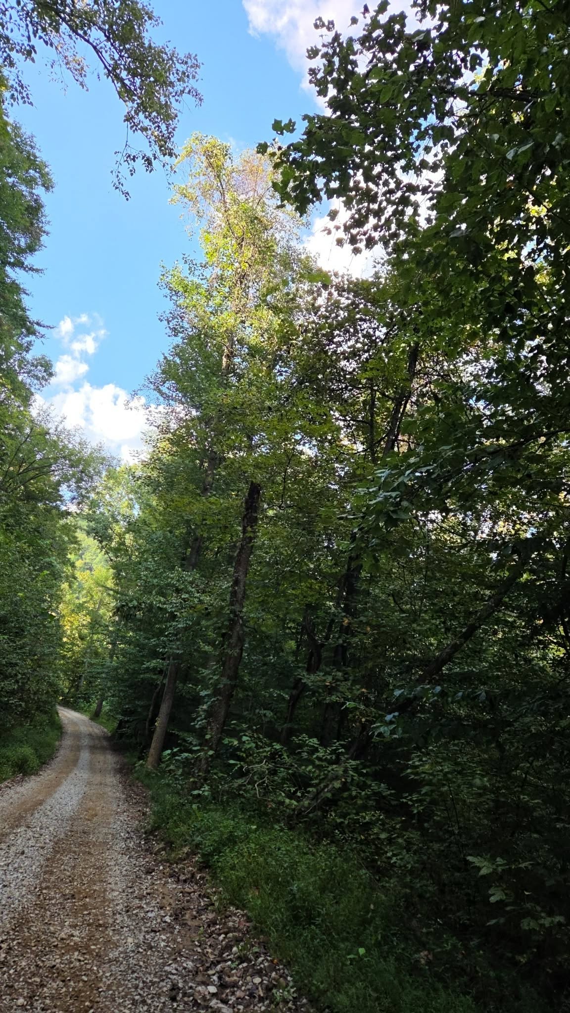 Off-road trail recovery